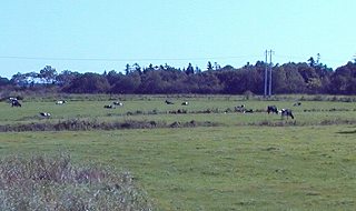 20080929-1002hokkaido (23).jpg